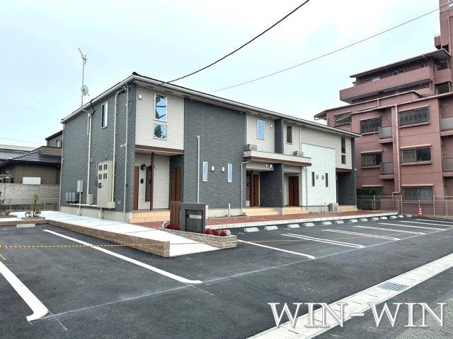 リブリオポラ D