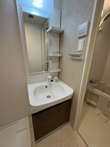 S-RESIDENCE豊田avantaの洗面所