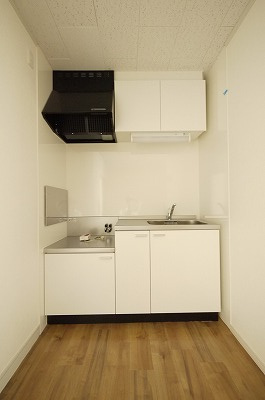 リレイズ葉月Ⅰのキッチン|※写真は別の部屋のものです。