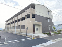 ラウレアコートの画像