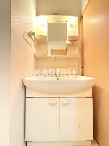 メゾンコトブキ清水の洗面所