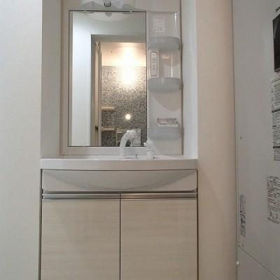 リアンの洗面所