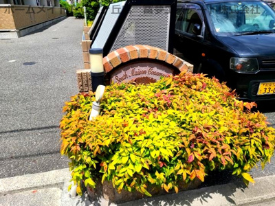 【エントランス】 | サウスメゾン秋桜