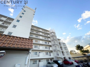 角住戸（リビングにバルコニーが2ヶ所あり陽当たり・通風良好です）