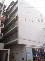 セレッソウスイの画像