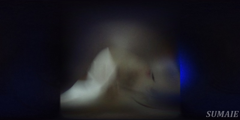 ドゥエルカネヒラの設備