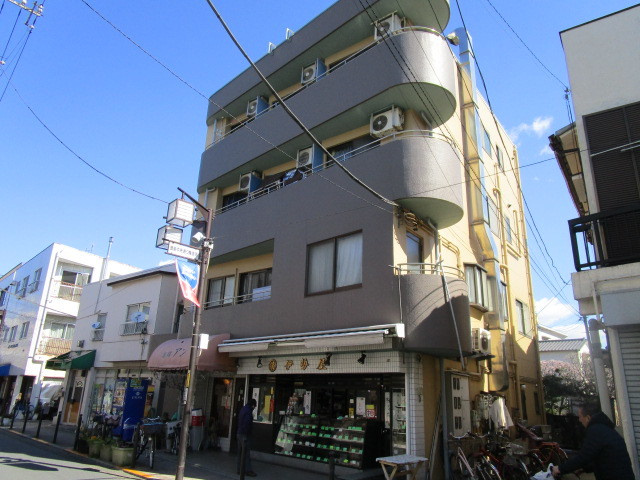 ステラ星野の画像