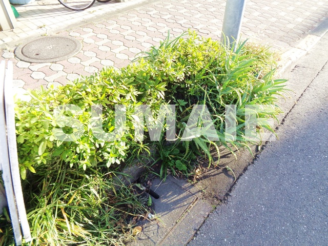 テラッセ　オクのその他|植栽です☆