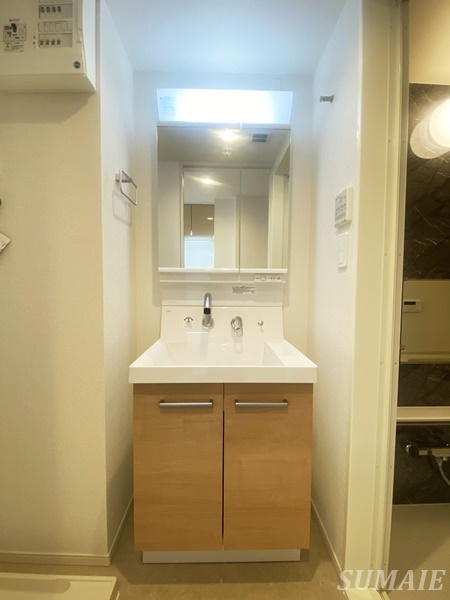 Ｈ・Ｓ駒込の独立洗面台|独立洗面台で身支度をすべて済ませてしまいましょう