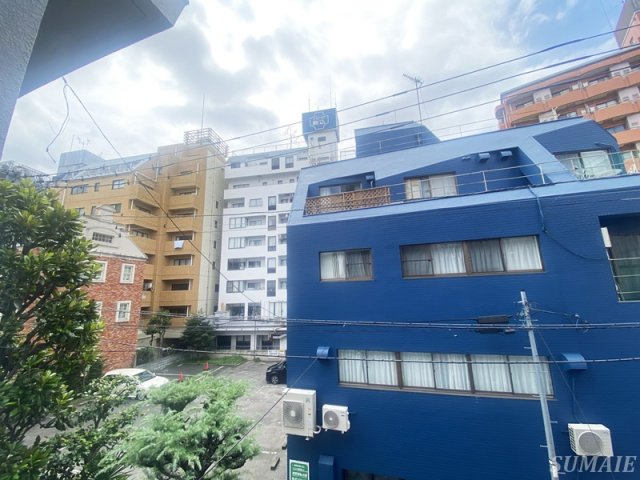 サントゥール駒込の展望