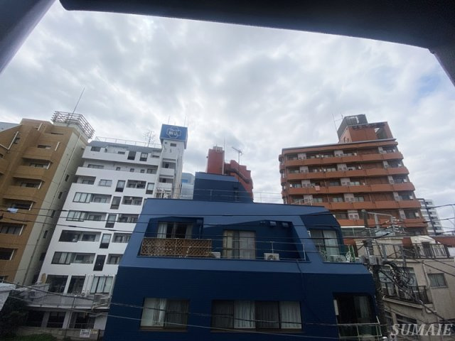 サントゥール駒込の展望