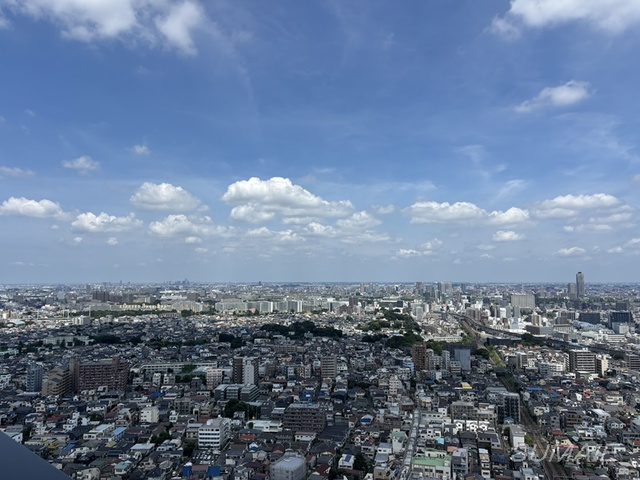 ザ・タワー十条の展望|景色です