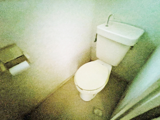 岩井マンションのトイレ|トイレ