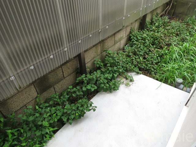 西新小岩コスモハイツのバルコニー|使用用途様々♪バルコニースペースです。