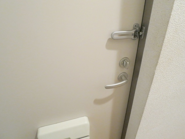 フォレスト西小岩のその他|ドアガード付きの玄関ドアです。