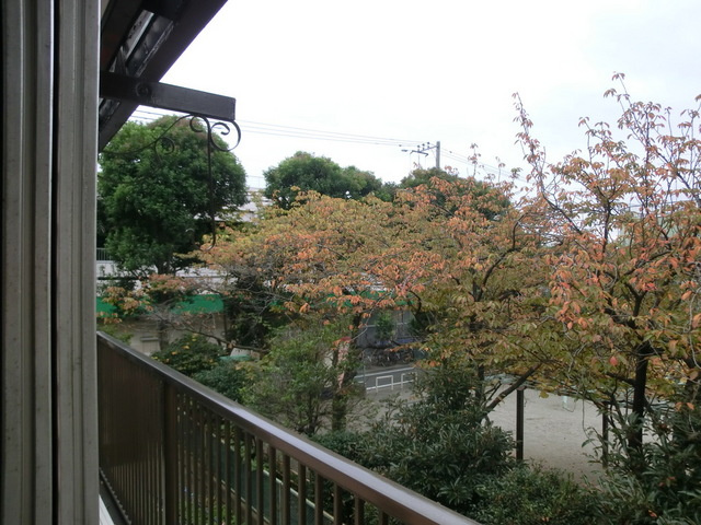 グローバルハウスの展望|公園目の前です！