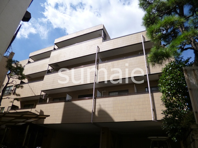 コート・スプルース