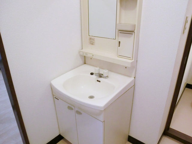 第二プラムフラワーガーデンの洗面所|独立洗面台付いてます。