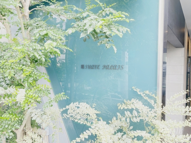 シュワーブパレの周辺|ランドマーク。