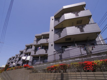 プリメーラ大泉学園の画像