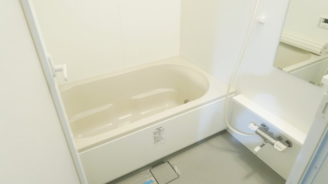 Elvita（エルヴィータ）の浴室