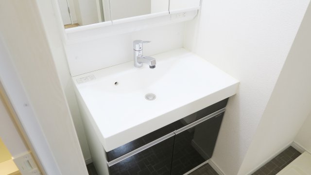 Elvita（エルヴィータ）の洗面所