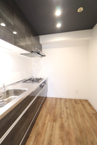 エクセル宮前平のキッチン