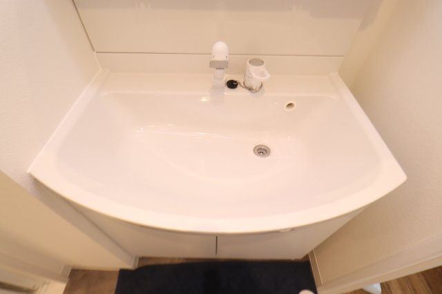 エクセル宮前平の洗面所