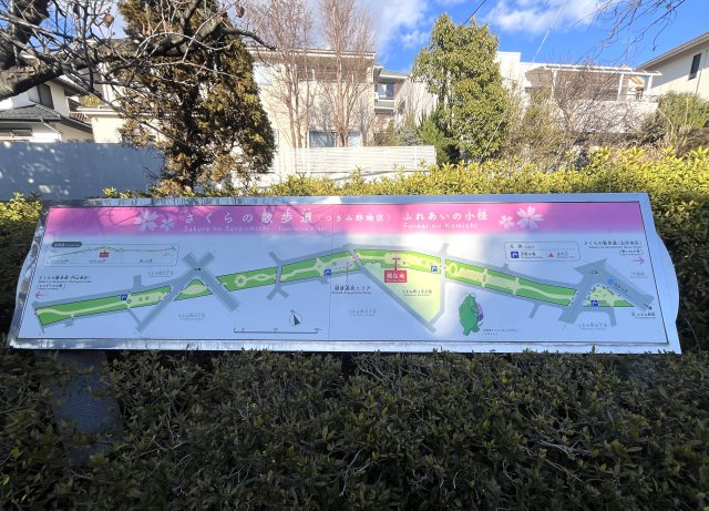 大和市つきみ野8丁目　売地の周辺