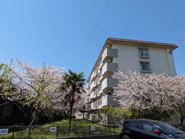 井堀南団地の外観|外観もきれいです