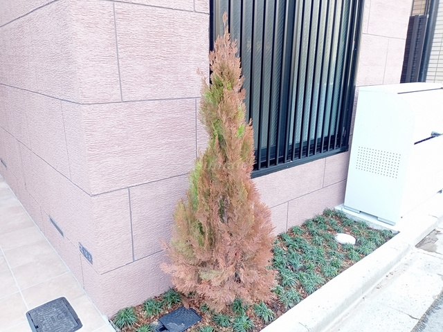 レピュア東十条駅前レジデンスのその他|植栽です☆