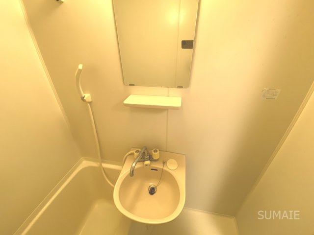 ドミール石栄のその他|洗面！