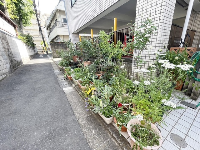 仲宿セントラルコートのその他|植栽です。