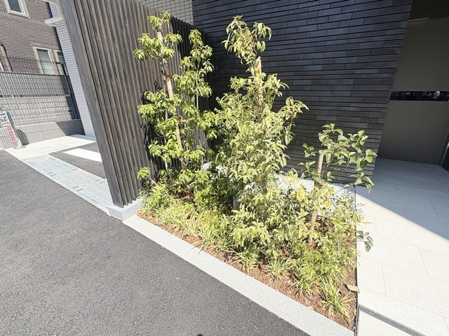 Alivis十条のその他|植栽です☆