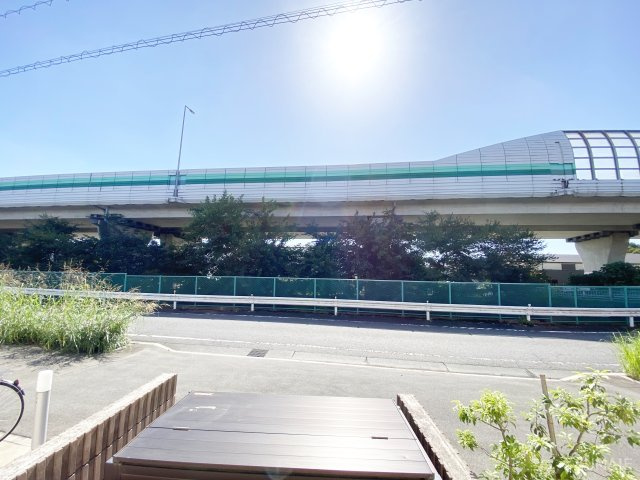 コスモスの展望