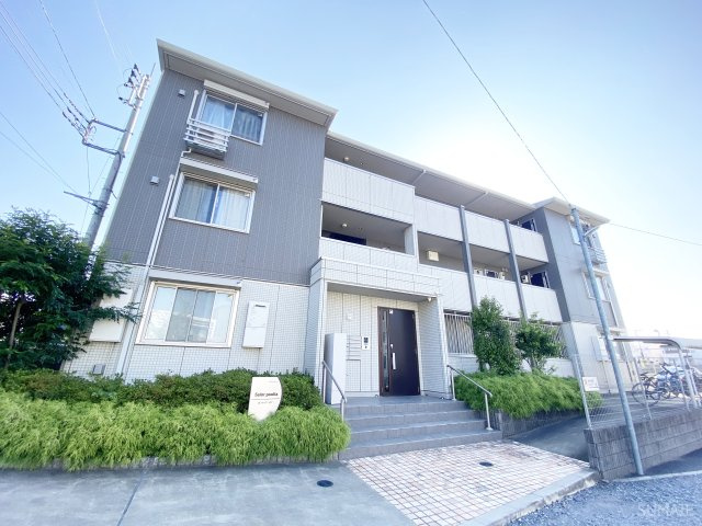 セントポーリア