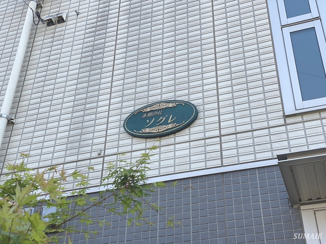 本郷の杜　ソグレの周辺