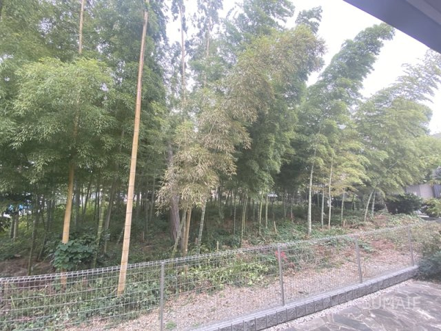 ガーデン島町東の展望|目の前　竹林☆彡