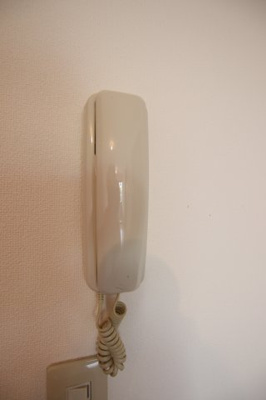 【セキュリティ】 | ドルフコート | インターホン