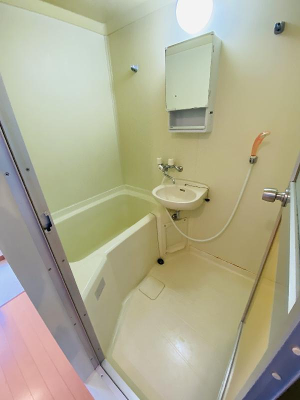 コパンジューヌⅢの洗面所