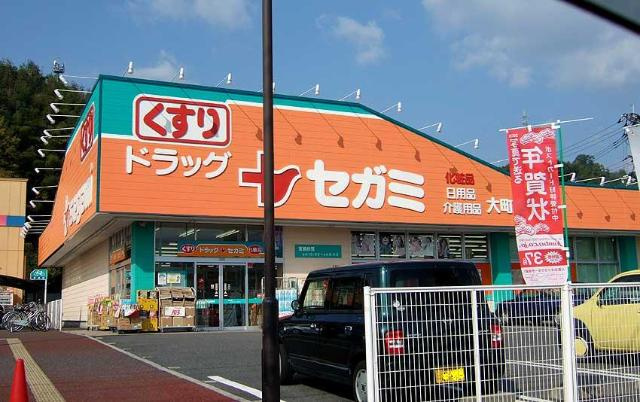 ジュネス祇園の周辺|ドラッグセガミ大町店まで665ｍ
