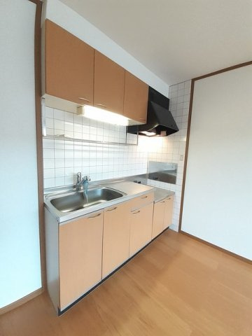 エクセレンテグリシーナⅡのキッチン|使いやすいキッチンです