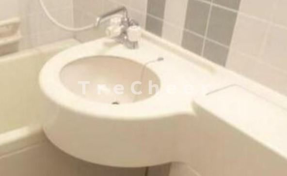 シティーオオソネ21の洗面所