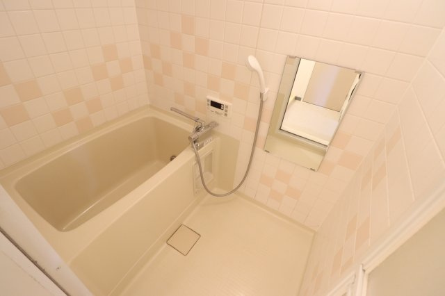 メゾン・ド・ツナキの浴室