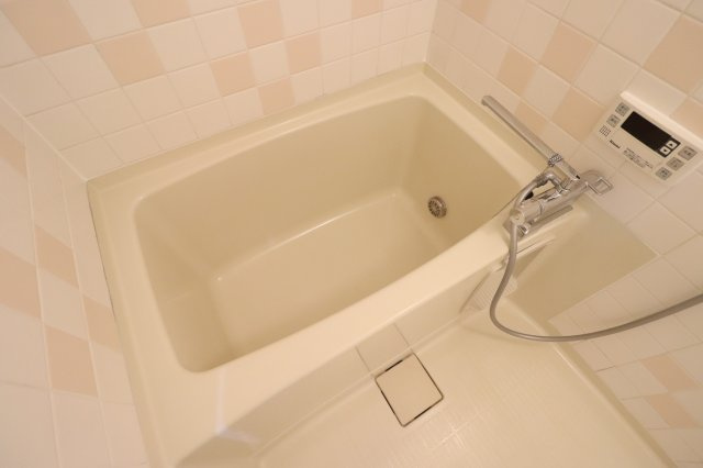 メゾン・ド・ツナキの浴室