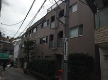 プリマヴェーラの画像