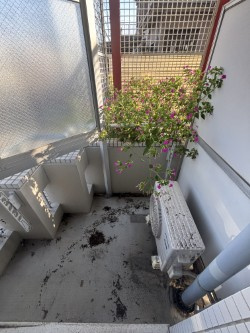 ジュネパレス藤沢