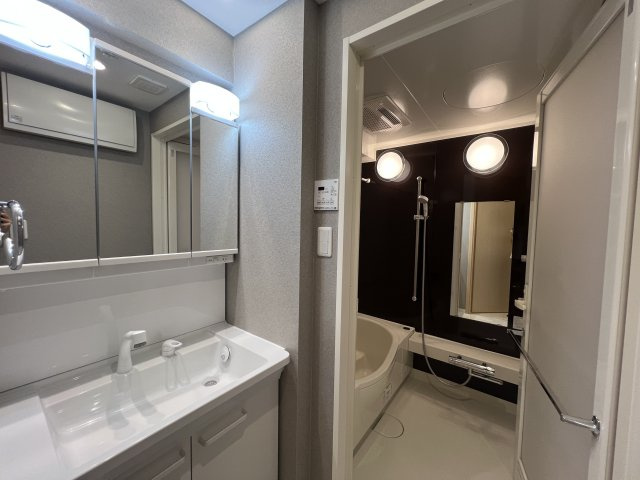 日ノ出町は、グルメの街【ミオカステーロ横濱野毛山公園】の独立洗面台|独立洗面台で身支度をすべて済ませてしまいましょう