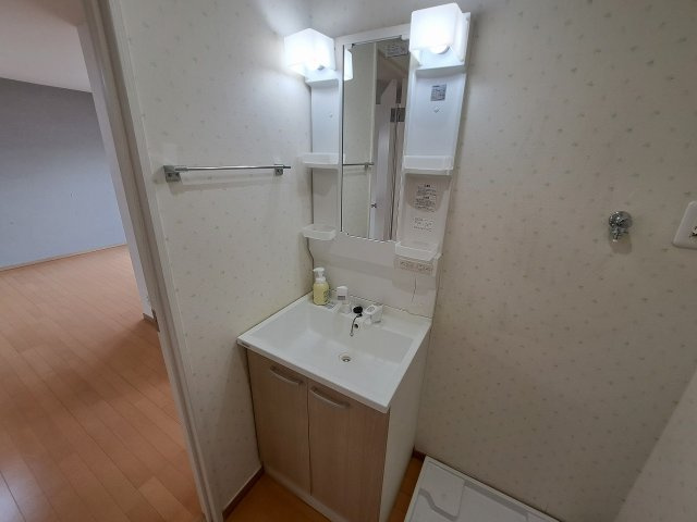 甲子園ニューハイツの洗面所