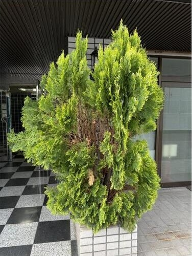 グローリーハイツ東成のその他